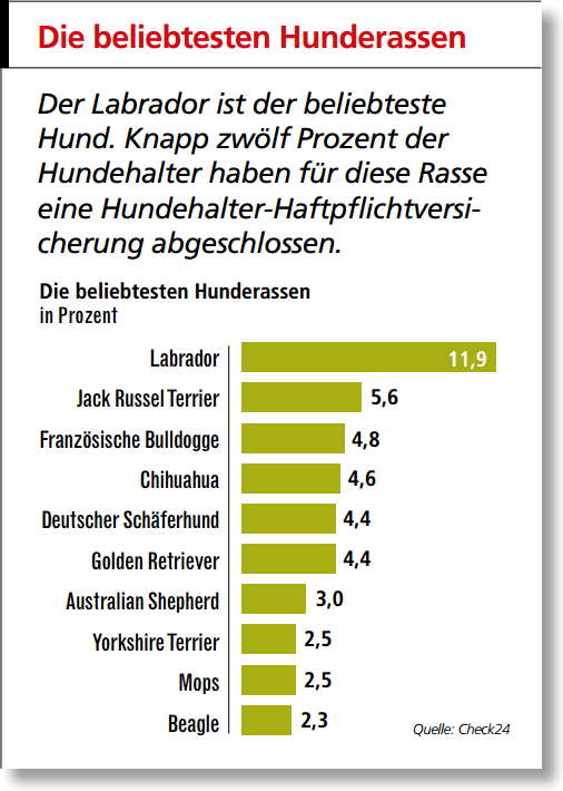 Hier sehen Sie die beliebtesten Hunderassen in Deutschland